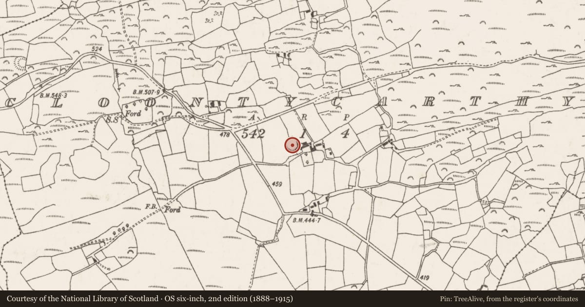 Ordnance Survey six-inch map, 2nd edition (1888–1915) covering the location of Ringfort - rath, Cluain Tí Cairtigh, County Cork, with a pin at the register's coordinates