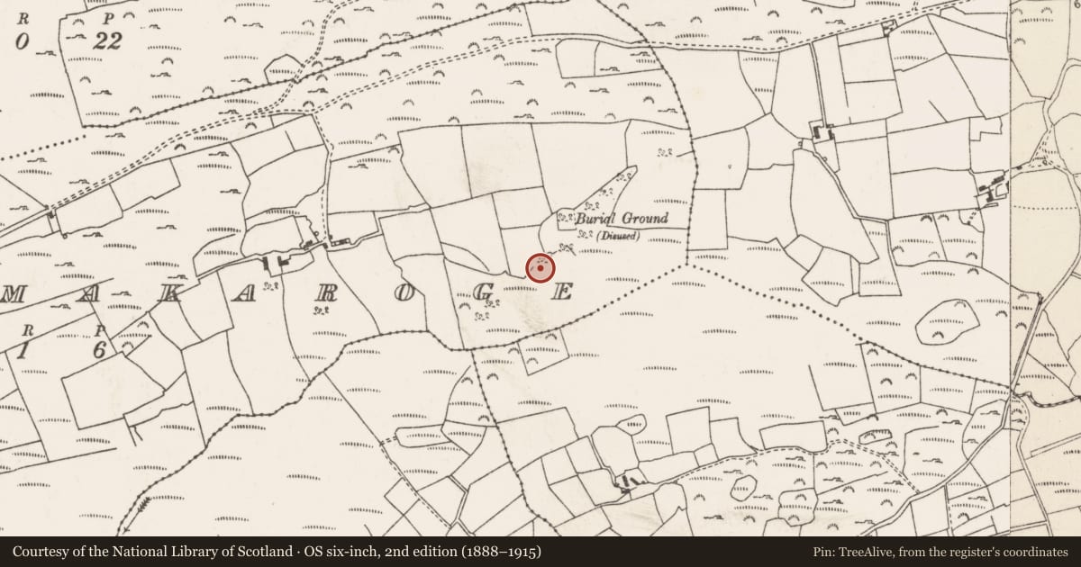 Ordnance Survey six-inch map, 2nd edition (1888–1915) covering the location of Bullaun stone, Cill Mic Cranróg, County Cork, with a pin at the register's coordinates