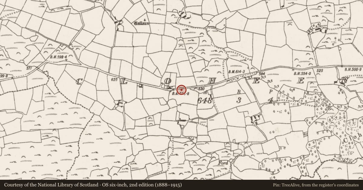 Ordnance Survey six-inch map, 2nd edition (1888–1915) covering the location of Bullaun stone, Cloch Eidhneach, County Cork, with a pin at the register's coordinates