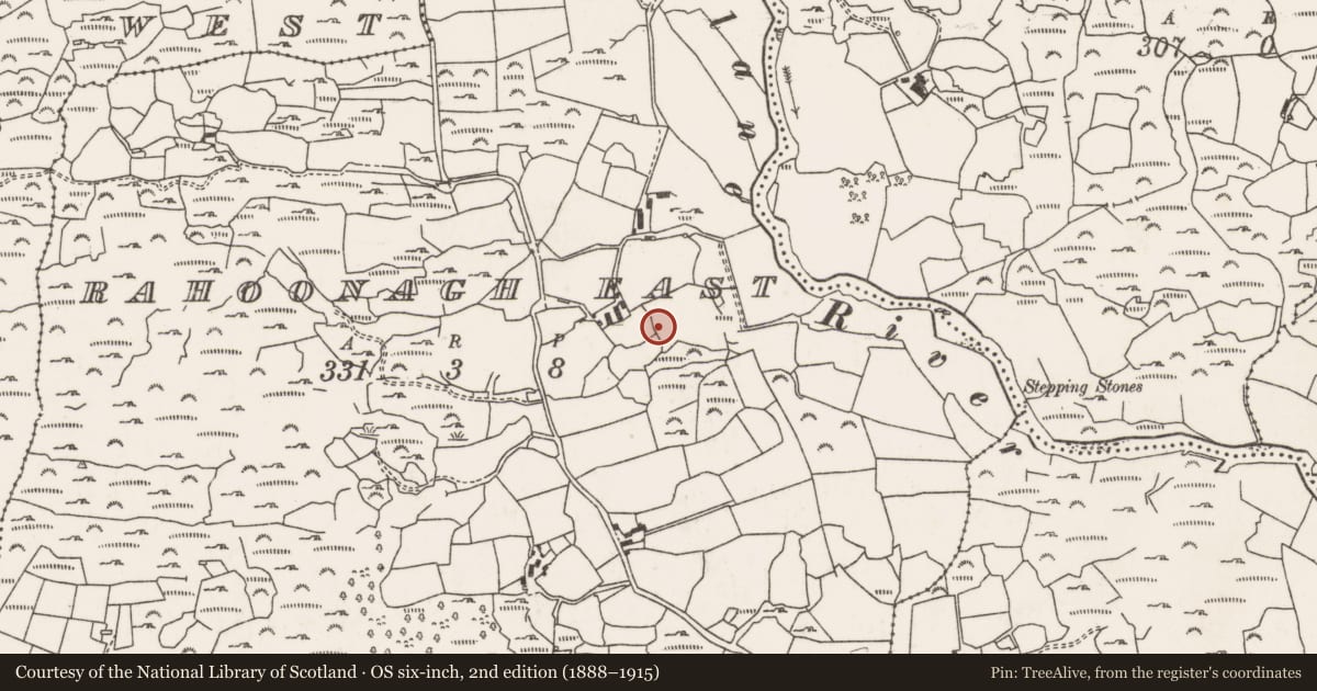 Ordnance Survey six-inch map, 2nd edition (1888–1915) covering the location of Souterrain, Rahoonagh East, County Cork, with a pin at the register's coordinates
