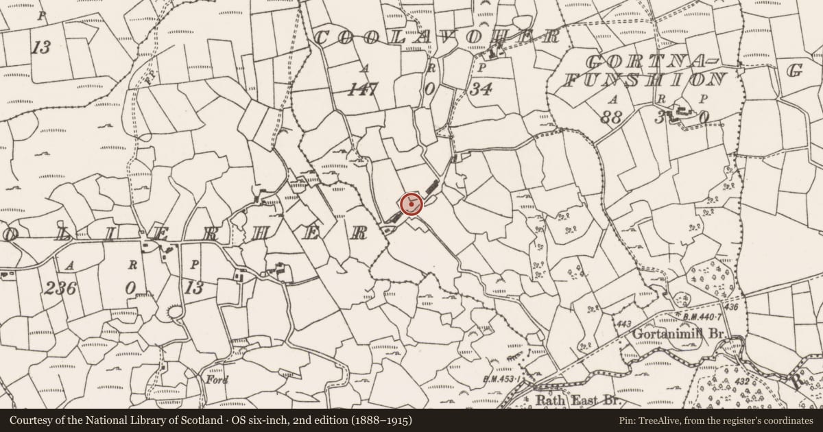 Ordnance Survey six-inch map, 2nd edition (1888–1915) covering the location of Castle - unclassified, Cúil An Mhothair, County Cork, with a pin at the register's coordinates