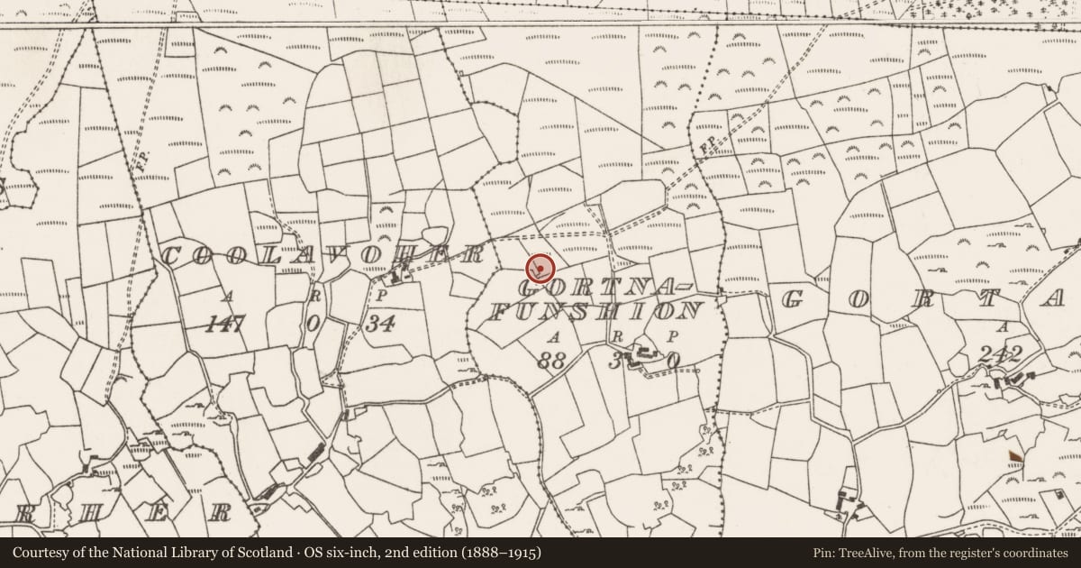 Ordnance Survey six-inch map, 2nd edition (1888–1915) covering the location of Ringfort - rath, Gort Na Fuinseann, County Cork, with a pin at the register's coordinates