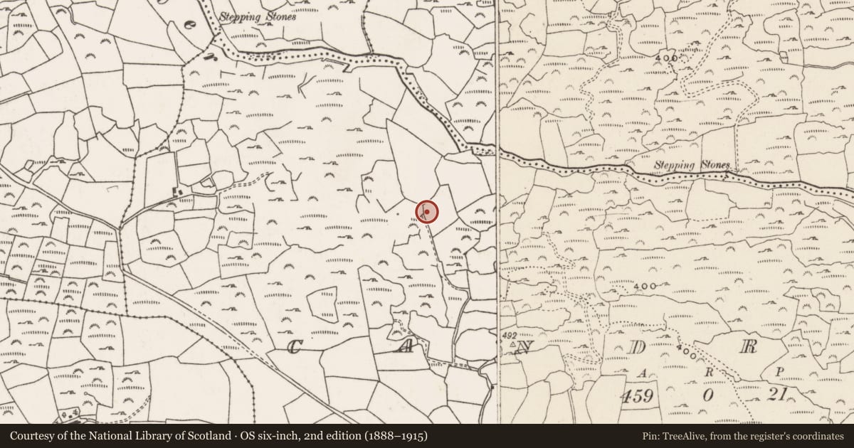 Ordnance Survey six-inch map, 2nd edition (1888–1915) covering the location of Fulacht fia, Ceann Droma, County Cork, with a pin at the register's coordinates