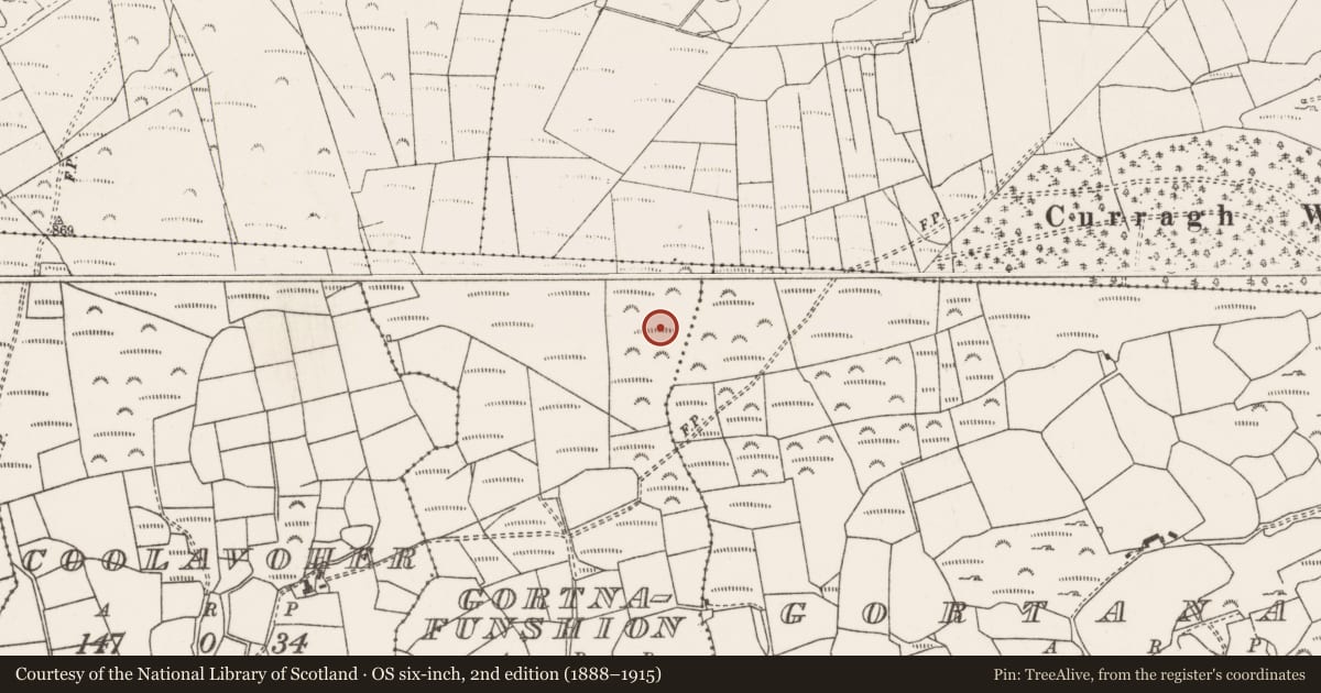 Ordnance Survey six-inch map, 2nd edition (1888–1915) covering the location of Fulacht fia, Gort Na Fuinseann, County Cork, with a pin at the register's coordinates