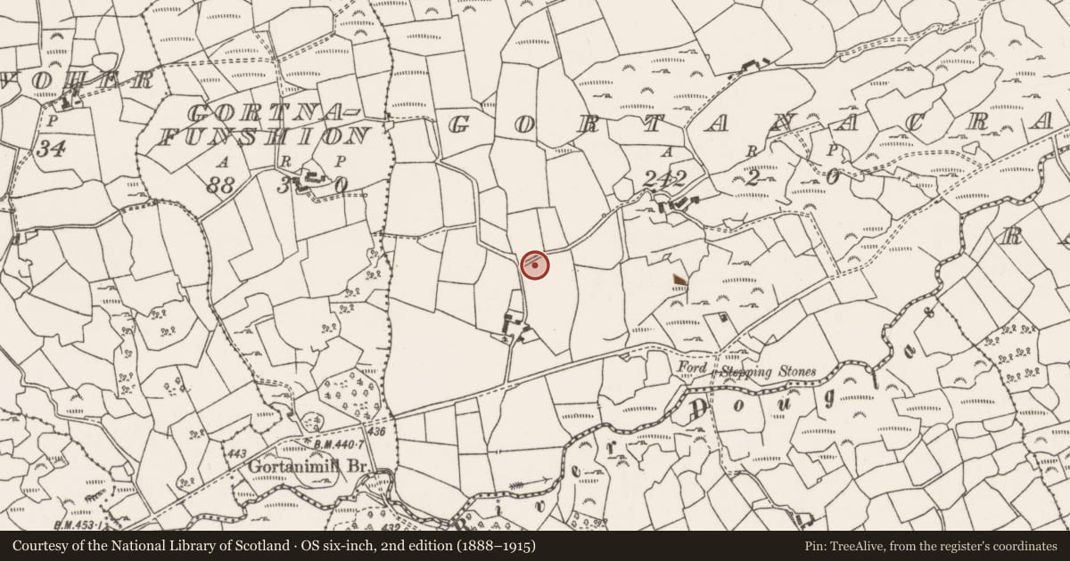 Ordnance Survey six-inch map, 2nd edition (1888–1915) covering the location of Fulacht fia, Gort An Acra, County Cork, with a pin at the register's coordinates