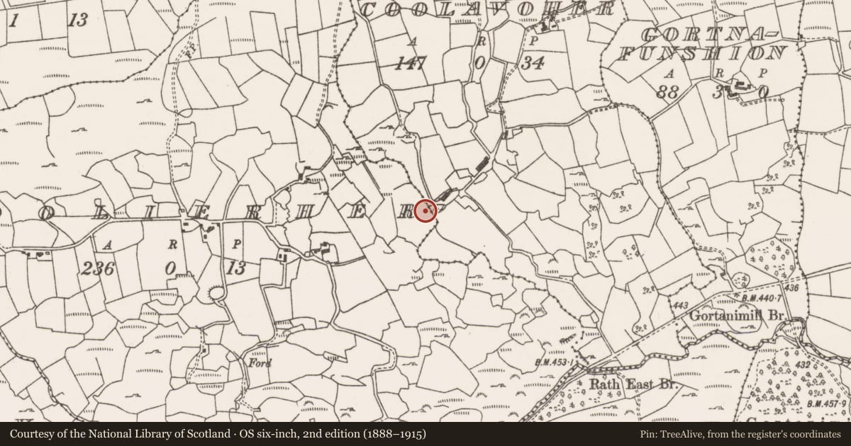 Ordnance Survey six-inch map, 2nd edition (1888–1915) covering the location of Fulacht fia, An Cúíl Iarthach, County Cork, with a pin at the register's coordinates