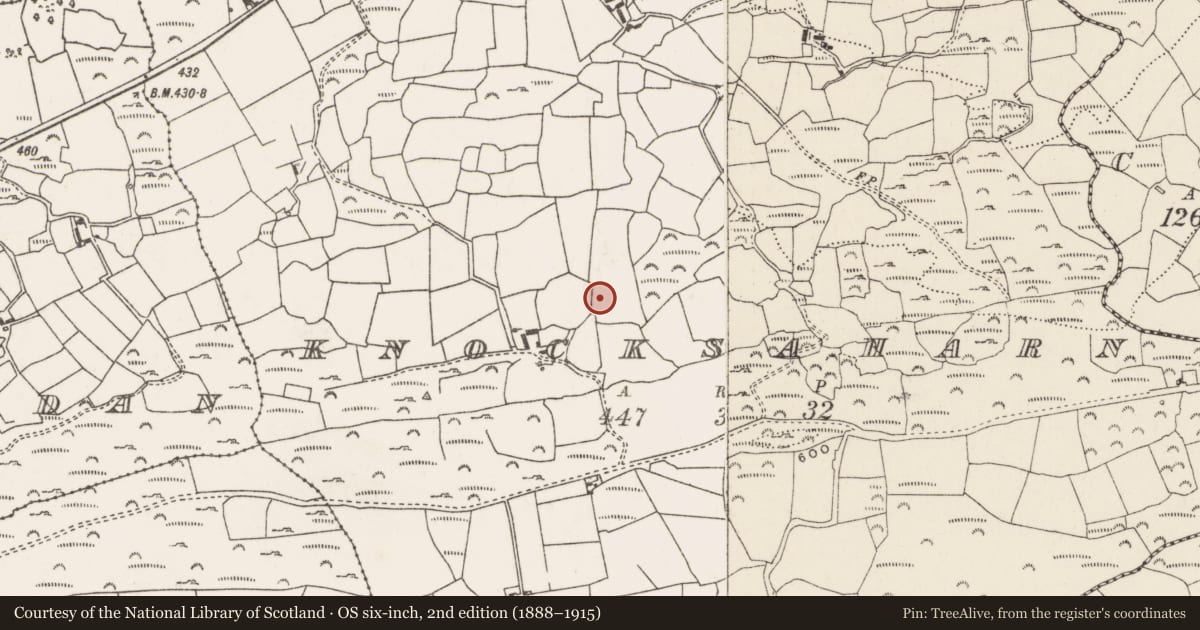 Ordnance Survey six-inch map, 2nd edition (1888–1915) covering the location of Fulacht fia, Cnoc Sathairn, County Cork, with a pin at the register's coordinates
