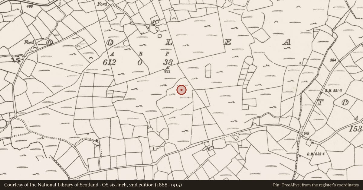 Ordnance Survey six-inch map, 2nd edition (1888–1915) covering the location of Megalithic tomb - wedge tomb, Cúil Aodha, County Cork, with a pin at the register's coordinates