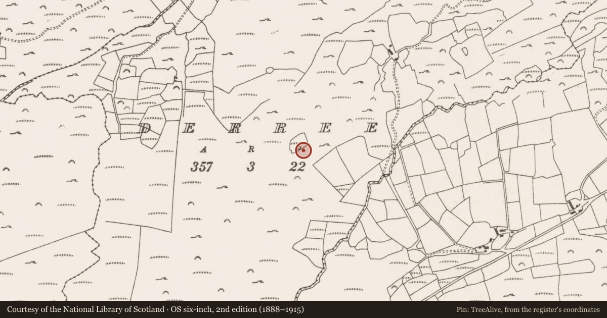 Ordnance Survey six-inch map, 2nd edition (1888–1915) covering the location of Field boundary, Na Doirí, County Cork, with a pin at the register's coordinates