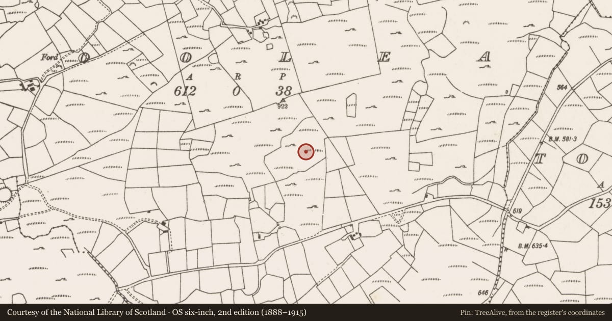 Ordnance Survey six-inch map, 2nd edition (1888–1915) covering the location of Field boundary, Cúil Aodha, County Cork, with a pin at the register's coordinates