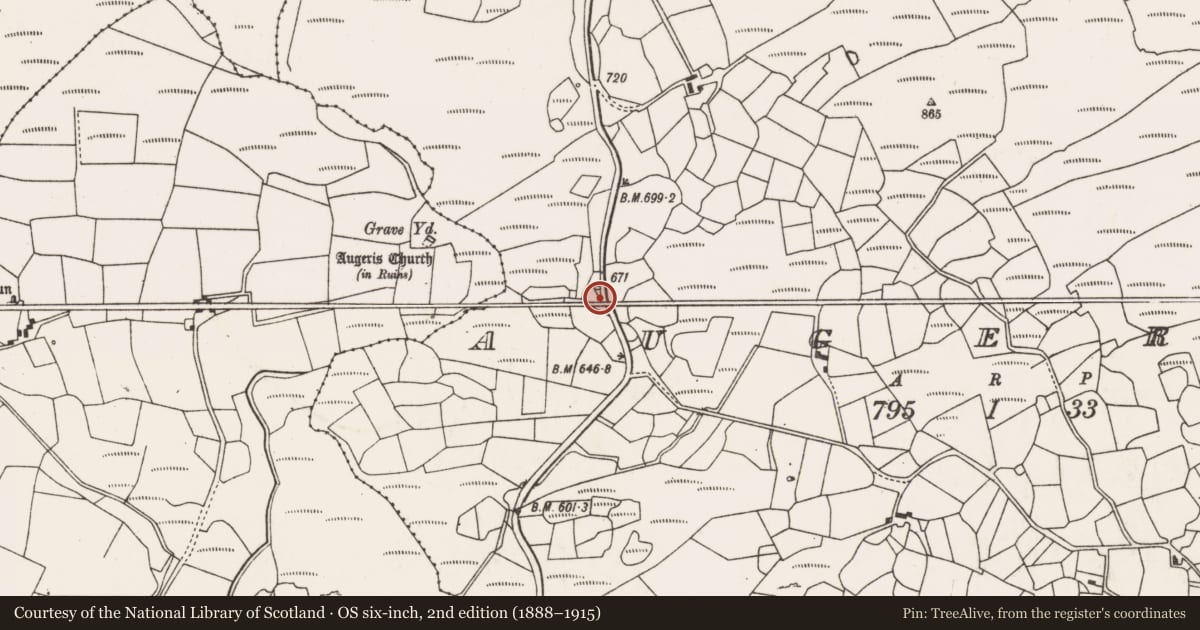 Ordnance Survey six-inch map, 2nd edition (1888–1915) covering the location of Bullaun stone, Eachros, County Cork, with a pin at the register's coordinates