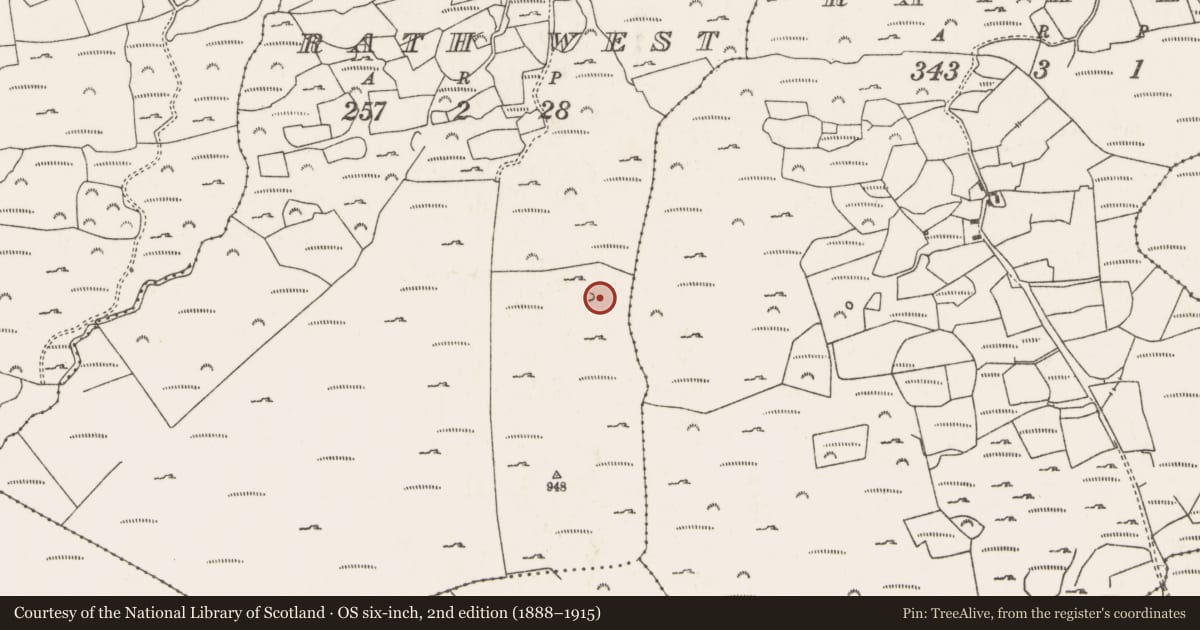 Ordnance Survey six-inch map, 2nd edition (1888–1915) covering the location of Enclosure, An Ráth Thiar, County Cork, with a pin at the register's coordinates
