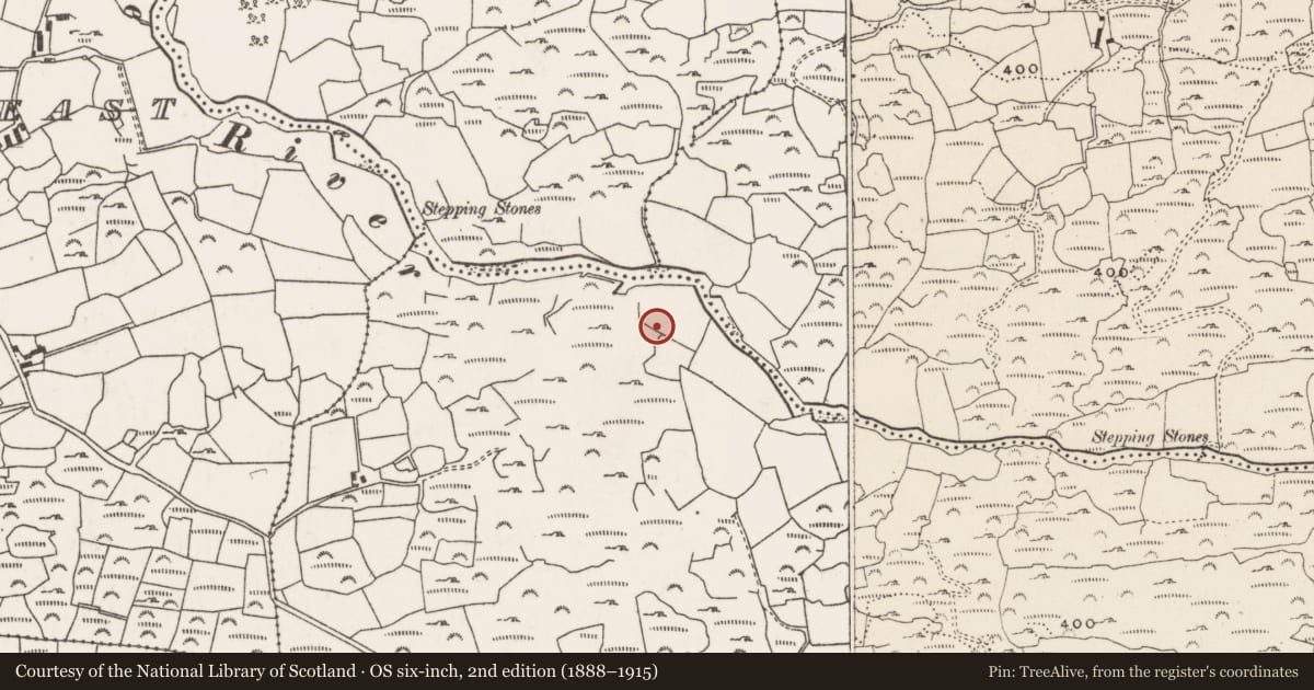 Ordnance Survey six-inch map, 2nd edition (1888–1915) covering the location of Mass-rock, Ceann Droma, County Cork, with a pin at the register's coordinates