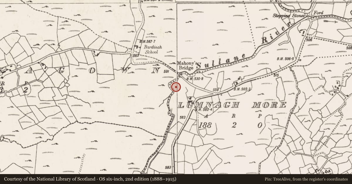 Ordnance Survey six-inch map, 2nd edition (1888–1915) covering the location of Stone circle - five-stone, An Lománach Mhór, County Cork, with a pin at the register's coordinates
