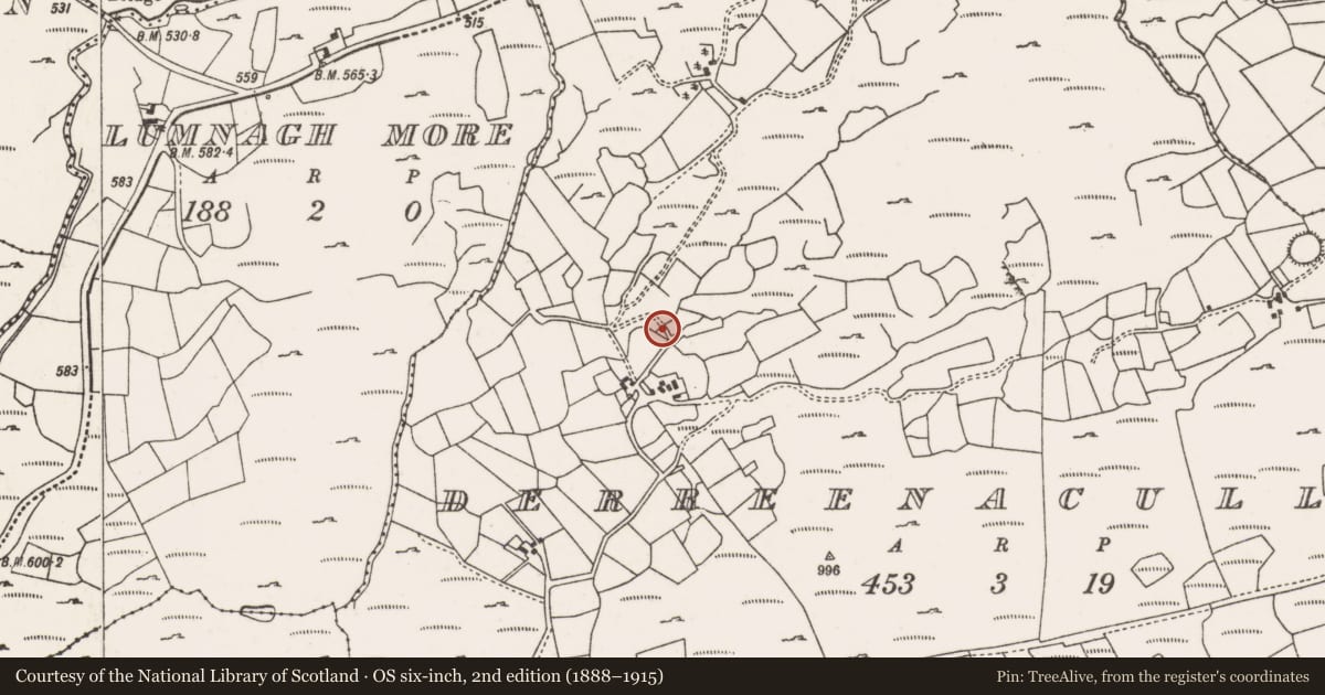 Ordnance Survey six-inch map, 2nd edition (1888–1915) covering the location of Standing stone, Doire An Chuillinn, County Cork, with a pin at the register's coordinates