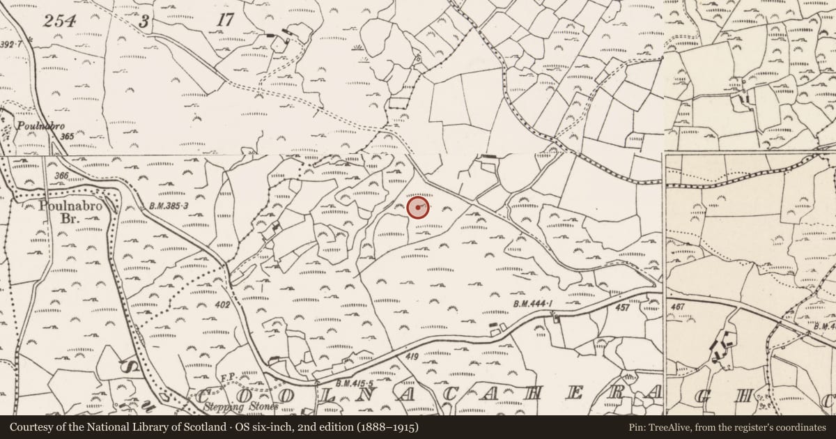 Ordnance Survey six-inch map, 2nd edition (1888–1915) covering the location of Standing stone, Cúil Na Cathrach, County Cork, with a pin at the register's coordinates