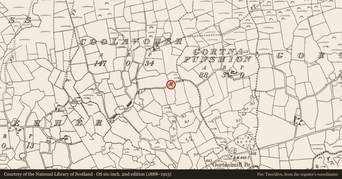 Ordnance Survey six-inch map, 2nd edition (1888–1915) covering the location of Standing stone, Cúil An Mhothair, County Cork, with a pin at the register's coordinates