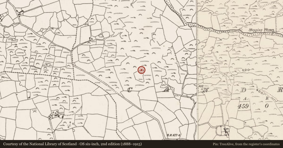 Ordnance Survey six-inch map, 2nd edition (1888–1915) covering the location of Megalithic tomb - wedge tomb, Ceann Droma, County Cork, with a pin at the register's coordinates