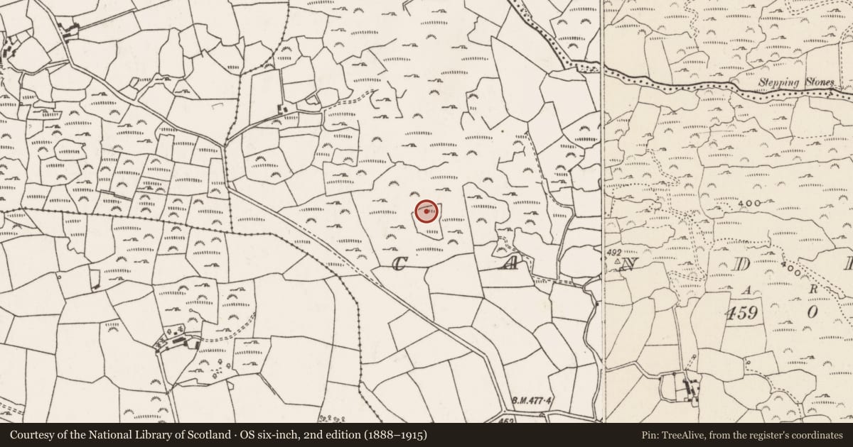 Ordnance Survey six-inch map, 2nd edition (1888–1915) covering the location of Standing stone, Ceann Droma, County Cork, with a pin at the register's coordinates