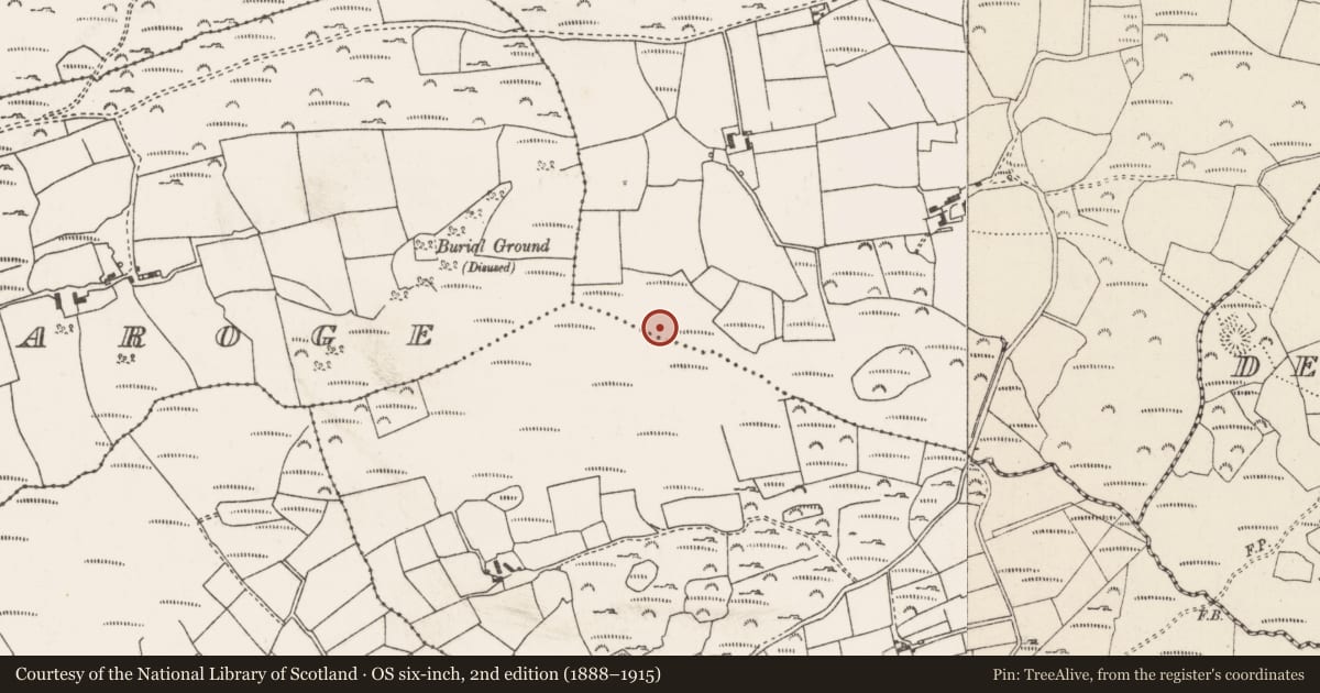 Ordnance Survey six-inch map, 2nd edition (1888–1915) covering the location of Enclosure, Cnoc Sathairn, County Cork, with a pin at the register's coordinates