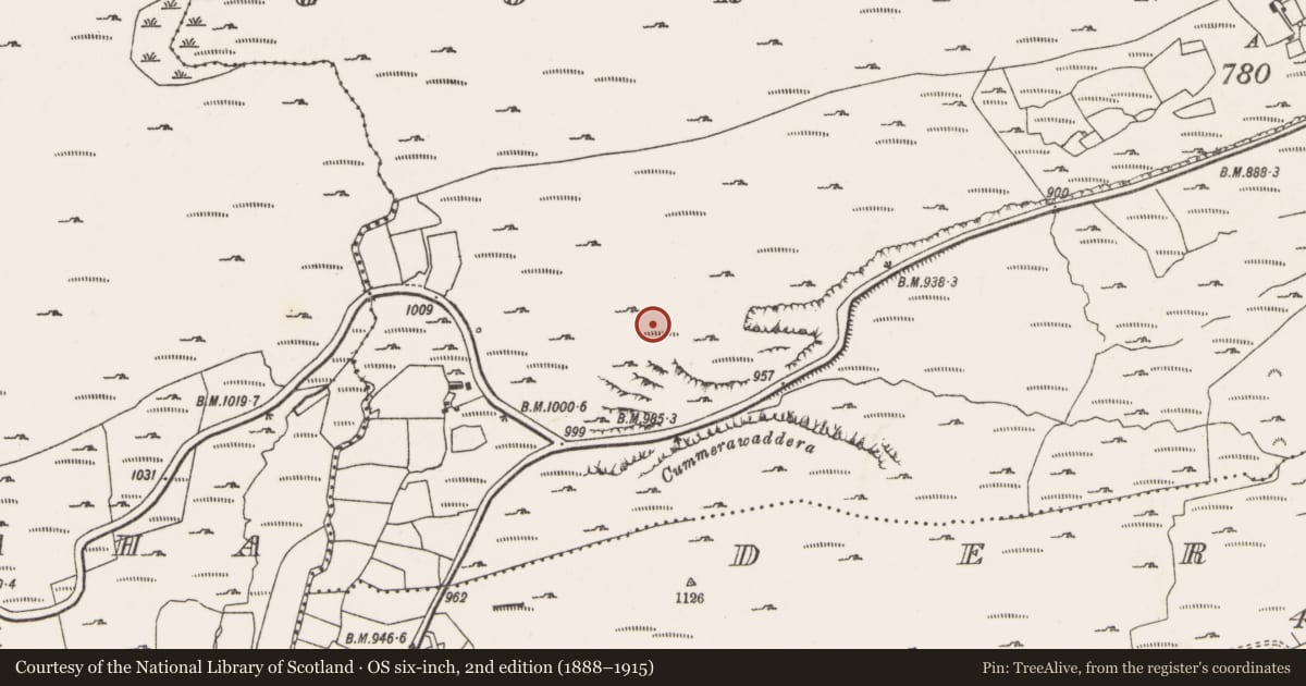 Ordnance Survey six-inch map, 2nd edition (1888–1915) covering the location of Megalithic tomb - wedge tomb, Gort Na Binne, County Cork, with a pin at the register's coordinates