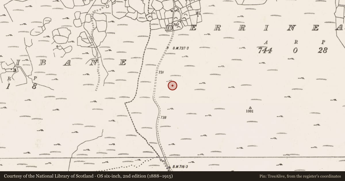 Ordnance Survey six-inch map, 2nd edition (1888–1915) covering the location of Enclosure, Doire An Aonaigh, County Cork, with a pin at the register's coordinates