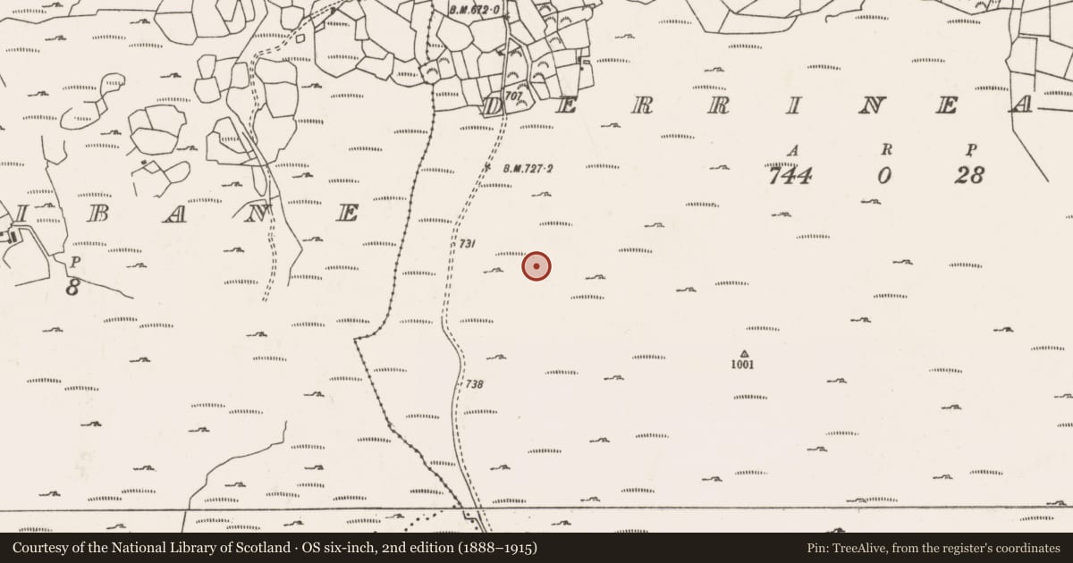 Ordnance Survey six-inch map, 2nd edition (1888–1915) covering the location of Hut site, Doire An Aonaigh, County Cork, with a pin at the register's coordinates