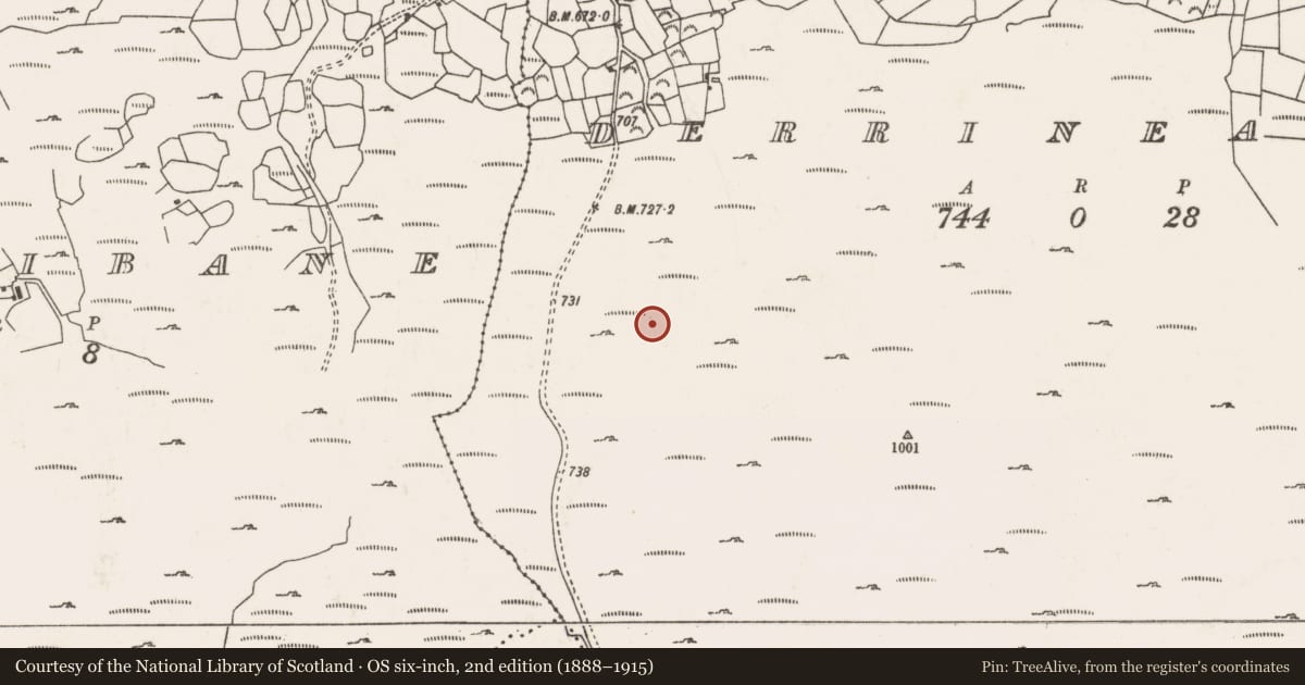 Ordnance Survey six-inch map, 2nd edition (1888–1915) covering the location of Hut site, Doire An Aonaigh, County Cork, with a pin at the register's coordinates