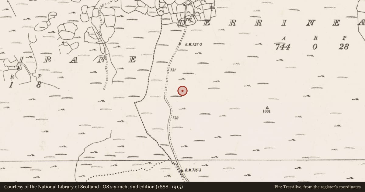 Ordnance Survey six-inch map, 2nd edition (1888–1915) covering the location of Field boundary, Doire An Aonaigh, County Cork, with a pin at the register's coordinates