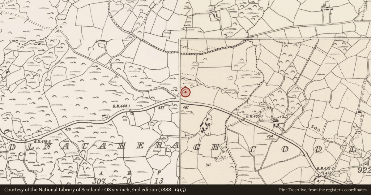 Ordnance Survey six-inch map, 2nd edition (1888–1915) covering the location of Ringfort - cashel, Cúil Na Cathrach, County Cork, with a pin at the register's coordinates