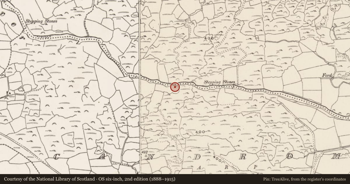 Ordnance Survey six-inch map, 2nd edition (1888–1915) covering the location of Standing stone, Ceann Droma, County Cork, with a pin at the register's coordinates