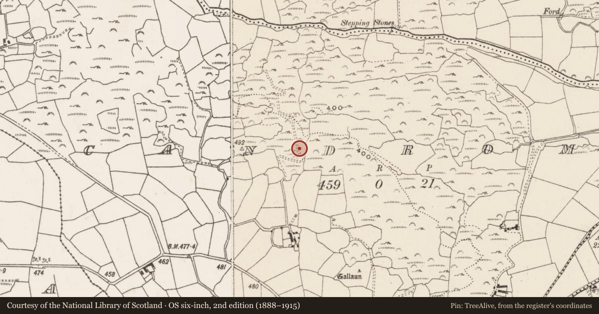 Ordnance Survey six-inch map, 2nd edition (1888–1915) covering the location of Fulacht fia, Ceann Droma, County Cork, with a pin at the register's coordinates