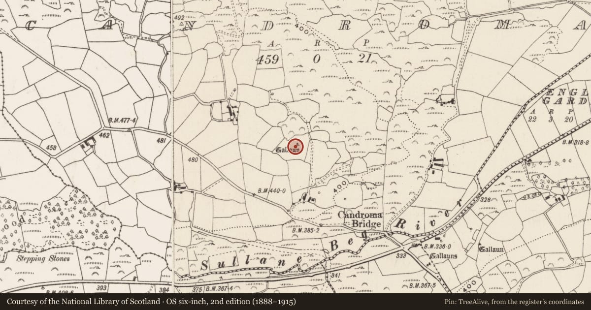 Ordnance Survey six-inch map, 2nd edition (1888–1915) covering the location of Standing stone, Ceann Droma, County Cork, with a pin at the register's coordinates