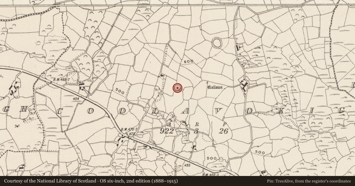 Ordnance Survey six-inch map, 2nd edition (1888–1915) covering the location of Ringfort - rath, Cúil An Bhuacaigh, County Cork, with a pin at the register's coordinates