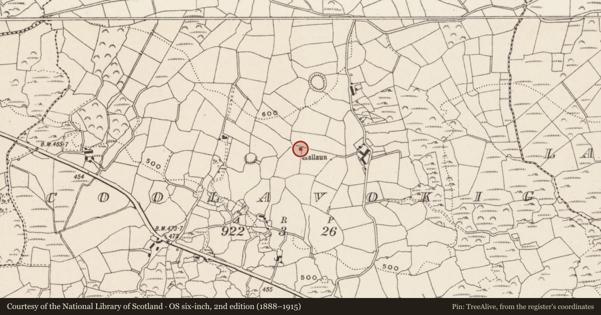 Ordnance Survey six-inch map, 2nd edition (1888–1915) covering the location of Standing stone, Cúil An Bhuacaigh, County Cork, with a pin at the register's coordinates