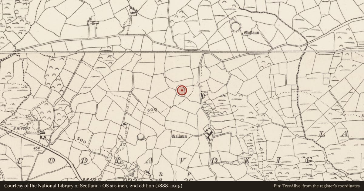 Ordnance Survey six-inch map, 2nd edition (1888–1915) covering the location of Ringfort - rath, Cúil An Bhuacaigh, County Cork, with a pin at the register's coordinates