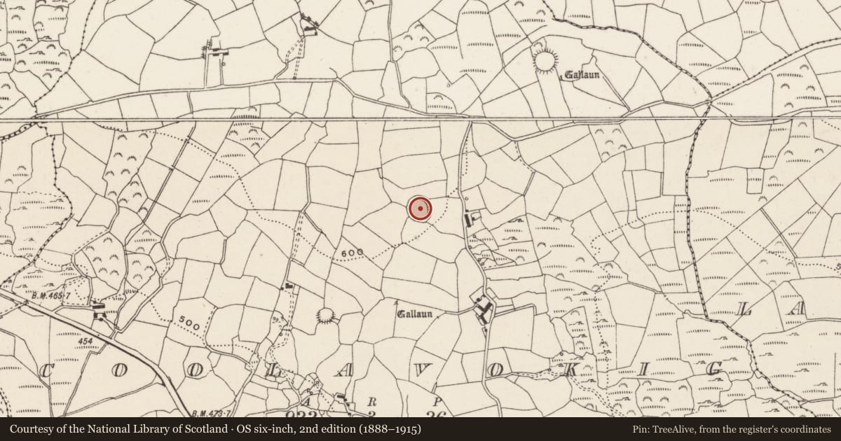 Ordnance Survey six-inch map, 2nd edition (1888–1915) covering the location of Souterrain, Cúil An Bhuacaigh, County Cork, with a pin at the register's coordinates