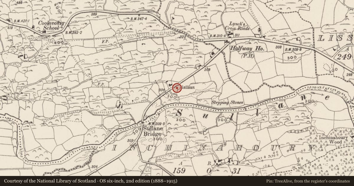 Ordnance Survey six-inch map, 2nd edition (1888–1915) covering the location of Standing stone, Cúil An Bhuacaigh, County Cork, with a pin at the register's coordinates