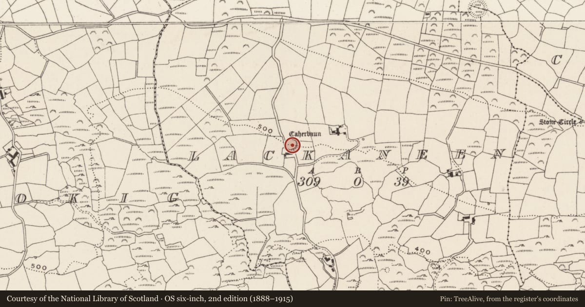 Ordnance Survey six-inch map, 2nd edition (1888–1915) covering the location of Ringfort - rath, Lackaneen, County Cork, with a pin at the register's coordinates