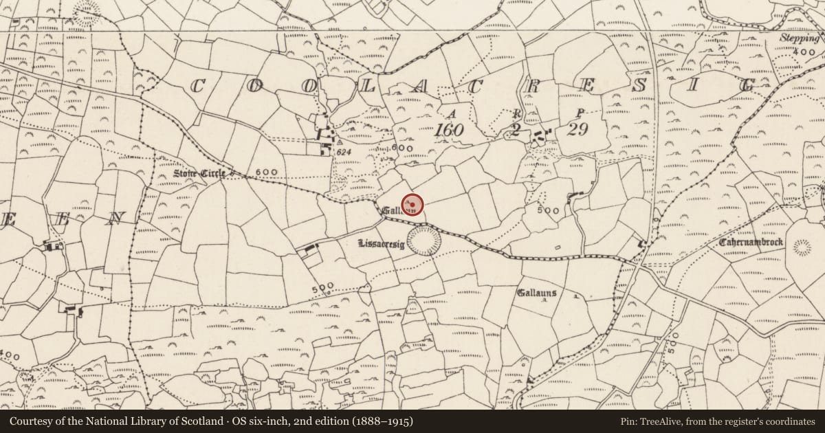 Ordnance Survey six-inch map, 2nd edition (1888–1915) covering the location of Standing stone, Coolacresig, County Cork, with a pin at the register's coordinates