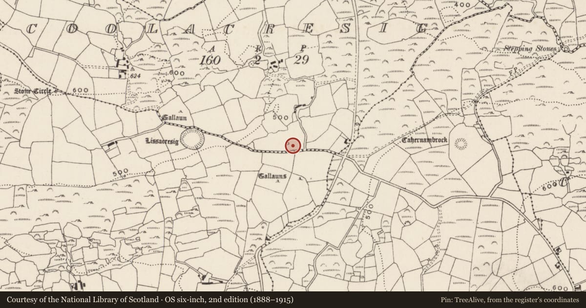 Ordnance Survey six-inch map, 2nd edition (1888–1915) covering the location of Kiln - lime, Coolacresig, County Cork, with a pin at the register's coordinates
