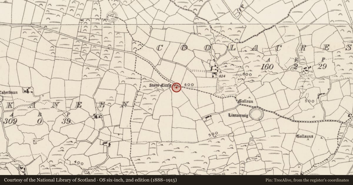 Ordnance Survey six-inch map, 2nd edition (1888–1915) covering the location of Stone circle - five-stone, Lissacresig, County Cork, with a pin at the register's coordinates