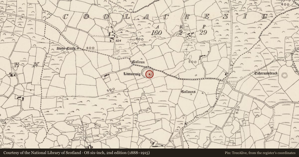 Ordnance Survey six-inch map, 2nd edition (1888–1915) covering the location of Ringfort - rath, Lissacresig, County Cork, with a pin at the register's coordinates