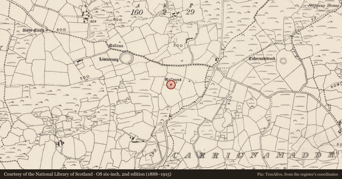 Ordnance Survey six-inch map, 2nd edition (1888–1915) covering the location of Standing stone, Lissacresig, County Cork, with a pin at the register's coordinates