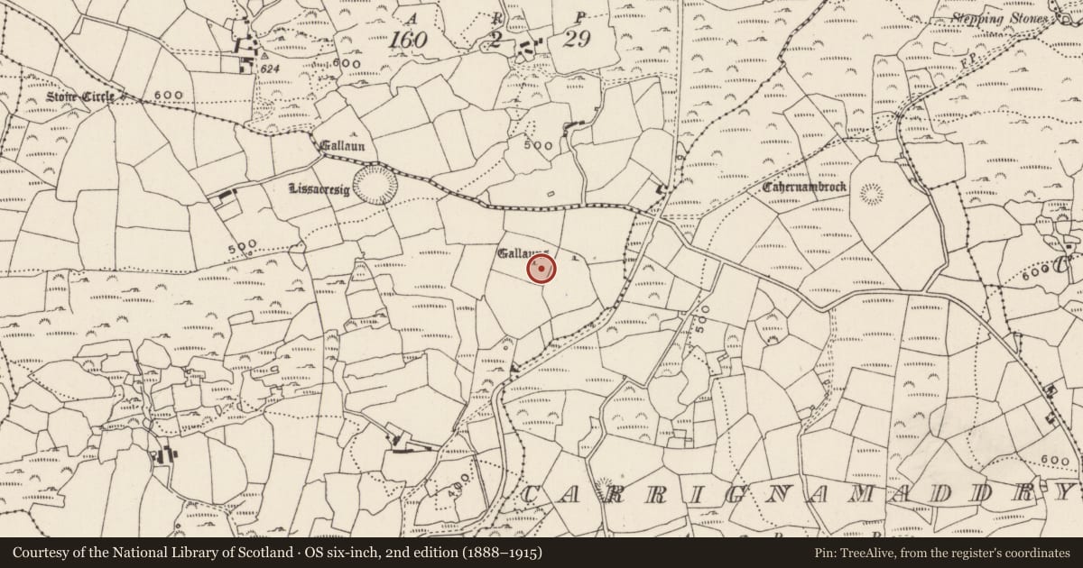 Ordnance Survey six-inch map, 2nd edition (1888–1915) covering the location of Standing stone, Lissacresig, County Cork, with a pin at the register's coordinates