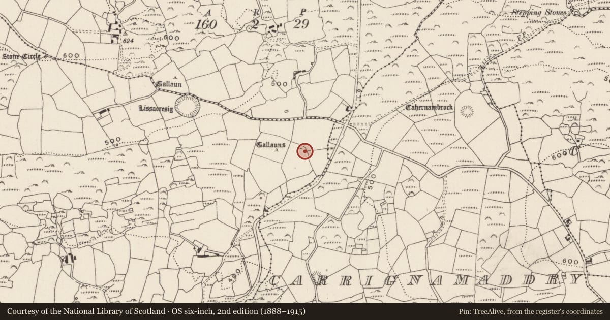 Ordnance Survey six-inch map, 2nd edition (1888–1915) covering the location of Standing stone, Lissacresig, County Cork, with a pin at the register's coordinates