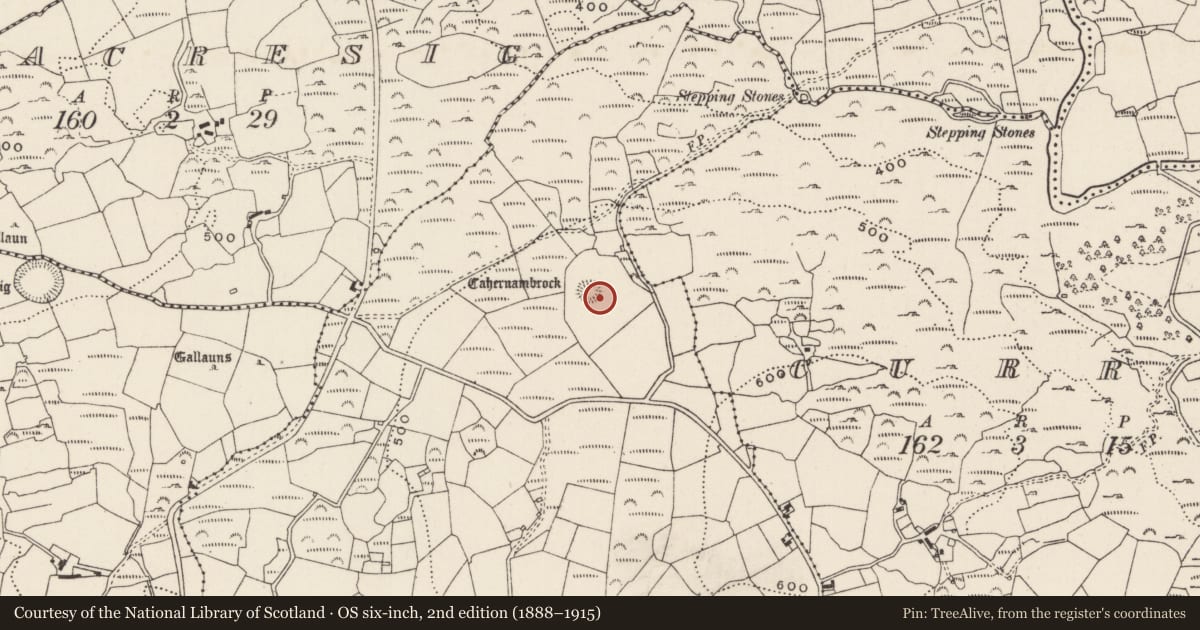 Ordnance Survey six-inch map, 2nd edition (1888–1915) covering the location of Ringfort - rath, Carrignamaddry, County Cork, with a pin at the register's coordinates