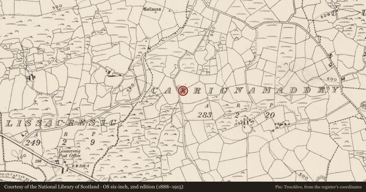 Ordnance Survey six-inch map, 2nd edition (1888–1915) covering the location of Ringfort - cashel, Carrignamaddry, County Cork, with a pin at the register's coordinates