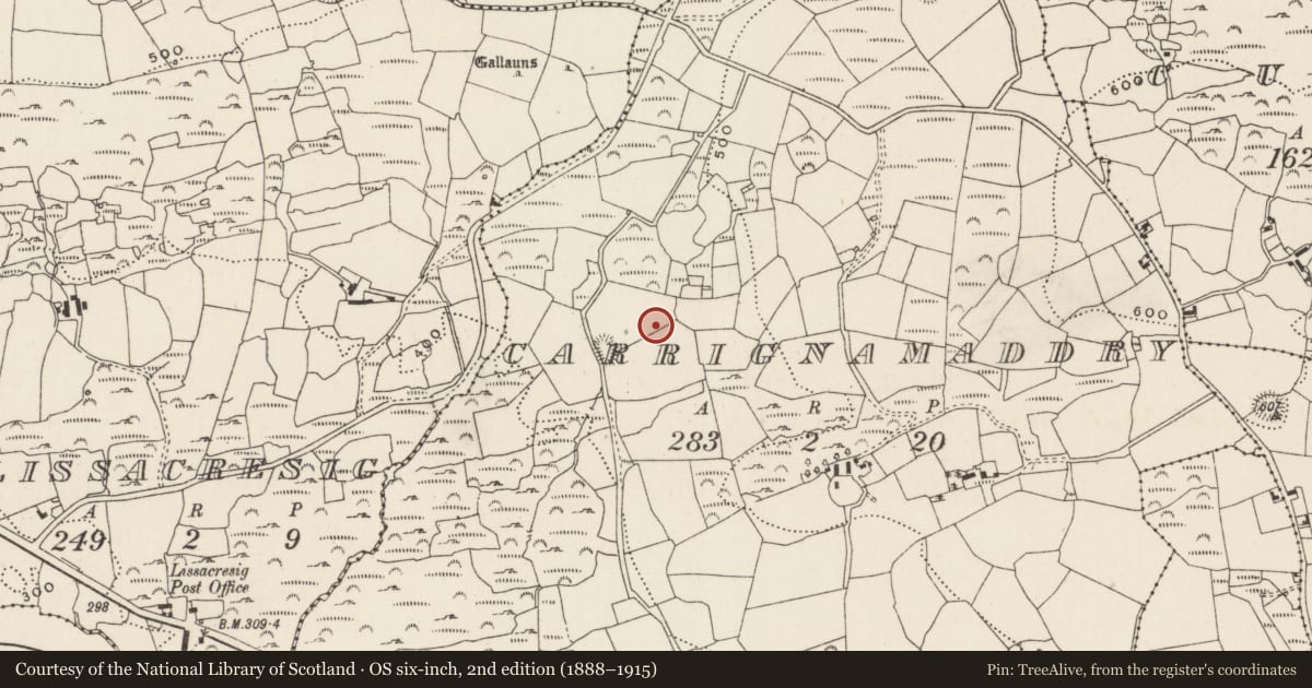 Ordnance Survey six-inch map, 2nd edition (1888–1915) covering the location of Standing stone, Carrignamaddry, County Cork, with a pin at the register's coordinates