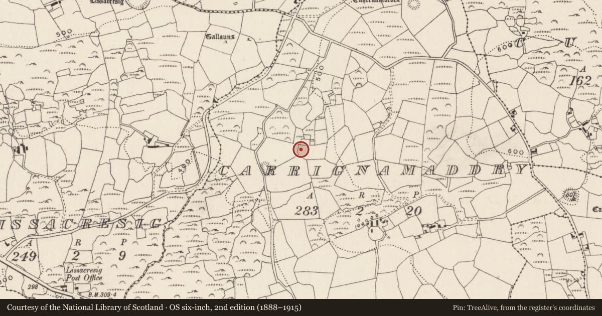 Ordnance Survey six-inch map, 2nd edition (1888–1915) covering the location of Standing stone, Carrignamaddry, County Cork, with a pin at the register's coordinates